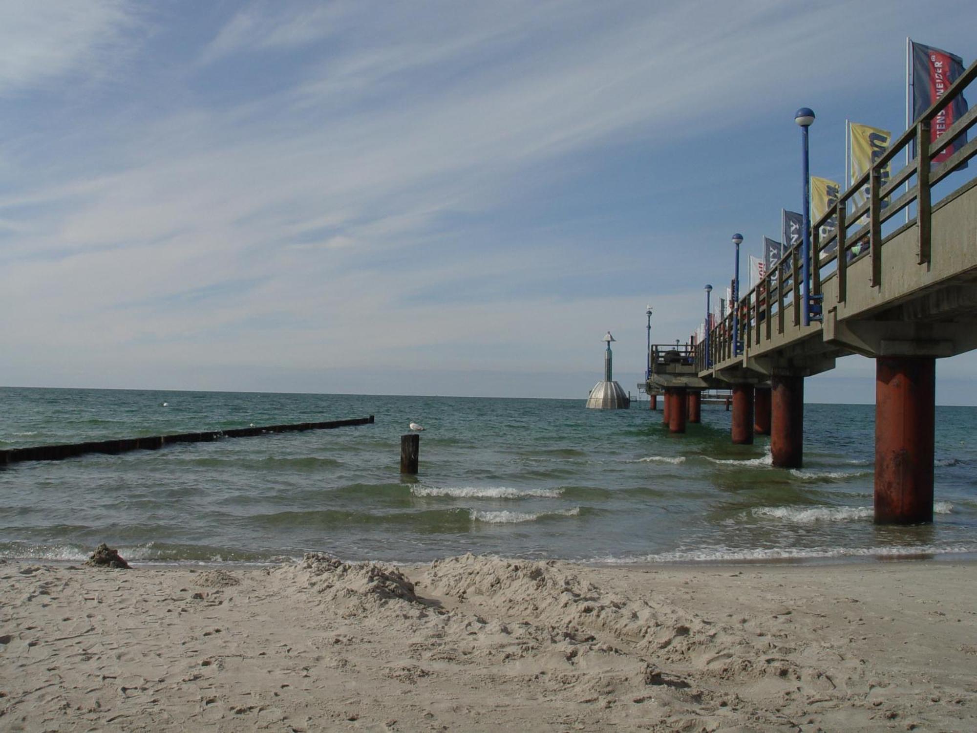Apartamento Am Waeldchen Zingst Exterior foto